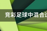 胜平负的0和-1什么意思？ (混合过关)竞彩网计算器胜平负