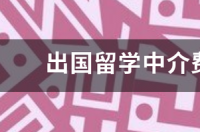 出国留学中介一般怎么收费？ 留学中介一般用