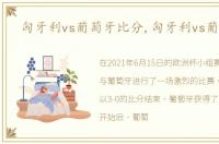 匈牙利vs葡萄牙比分,匈牙利vs葡萄牙