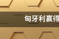 历届世界杯决赛比分是多少啊？ 匈牙利对法国世界杯