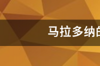 马拉多纳为什么参加四次世界杯？ 马拉多纳简介