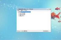 zoomwinflo7和6有什么区别？ 最精简的win7系统仅678mb