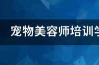 宠物美容师培训学校费用一般多少钱呀？ 宠物狗学校培训价格表