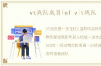 vt战队成员lol vit战队