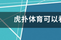 想要看各种体育赛事和新闻最好有小游戏玩,用哪种APP nba虎扑体育