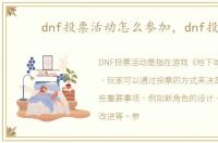 dnf投票活动怎么参加，dnf投票