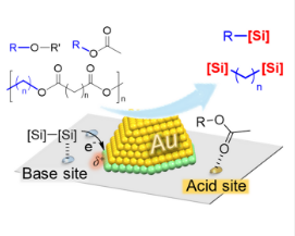 新催化剂有助于将塑料废物转化为有用的有机硅烷化合物