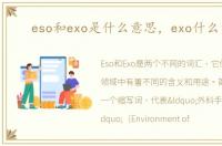 eso和exo是什么意思，exo什么意思