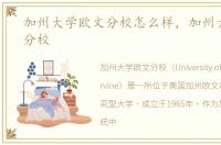 加州大学欧文分校怎么样，加州大学欧文分校