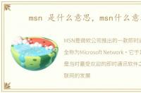 msn 是什么意思，msn什么意思