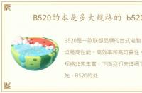 B520的本是多大规格的 b520