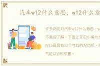 汽车w12什么意思，w12什么意思