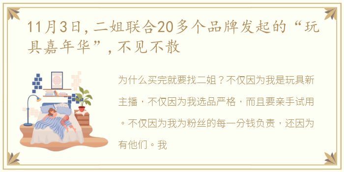 11月3日,二姐联合20多个品牌发起的“玩具嘉年华”,不见不散