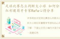 足球比赛怎么判断大小球 如何分析大小球红彩葡萄牙专家Rafa心得分享