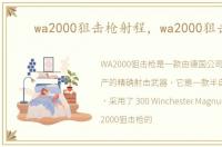 wa2000狙击枪射程，wa2000狙击枪