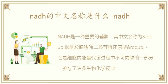 nadh的中文名称是什么 nadh