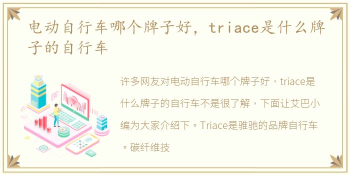 电动自行车哪个牌子好，triace是什么牌子的自行车