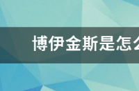 博伊金斯能扣篮吗？ nba博伊金斯