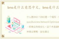 bno是什么意思中文，bno是什么意思