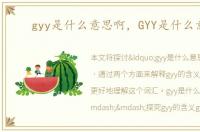 gyy是什么意思啊，GYY是什么意思