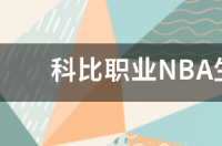 科比单赛季六次绝杀哪年？ nba绝杀球科比