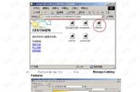 Windows server 2003是什么意思呀? windows server 2003