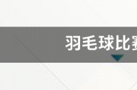 2021羽毛球世锦赛男单比赛时间？ 羽毛球男单比赛