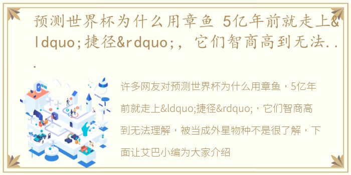 预测世界杯为什么用章鱼 5亿年前就走上“捷径”，它们智商高到无法理解，被当成外星物种