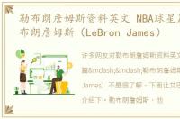 勒布朗詹姆斯资料英文 NBA球星篇——勒布朗詹姆斯（LeBron James）