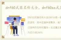 dnf60武器名称大全，dnf60ss武器大全