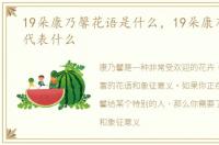 19朵康乃馨花语是什么，19朵康乃馨花语代表什么