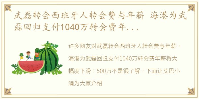 武磊转会西班牙人转会费与年薪 海港为武磊回归支付1040万转会费年薪将大幅度下滑：500万