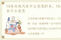 13朵玫瑰代表什么意思21朵，13朵玫瑰代表什么意思