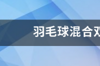 混双羽毛球冠军是谁？ 混双羽毛球比赛