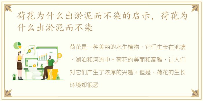 荷花为什么出淤泥而不染的启示，荷花为什么出淤泥而不染