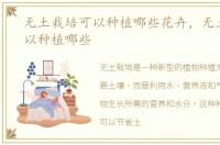 无土栽培可以种植哪些花卉，无土栽培可以种植哪些