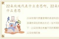 22朵玫瑰代表什么意思啊，22朵玫瑰代表什么意思