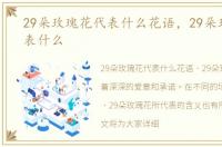 29朵玫瑰花代表什么花语，29朵玫瑰花代表什么