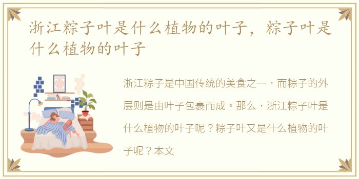 浙江粽子叶是什么植物的叶子，粽子叶是什么植物的叶子