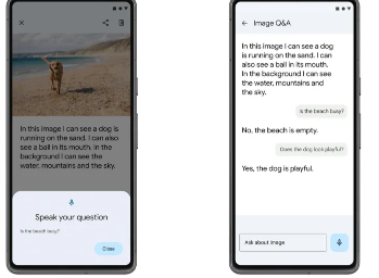 谷歌人工智能现在可以回答你关于无标题图像的问题