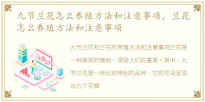 九节兰花怎么养殖方法和注意事项，兰花怎么养殖方法和注意事项