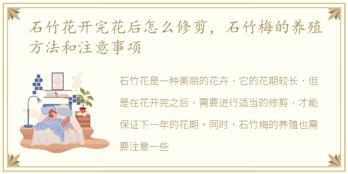 石竹花开完花后怎么修剪，石竹梅的养殖方法和注意事项