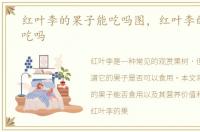 红叶李的果子能吃吗图，红叶李的果子能吃吗