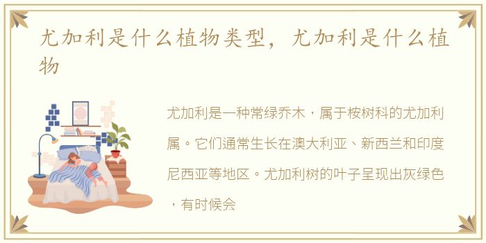 尤加利是什么植物类型，尤加利是什么植物