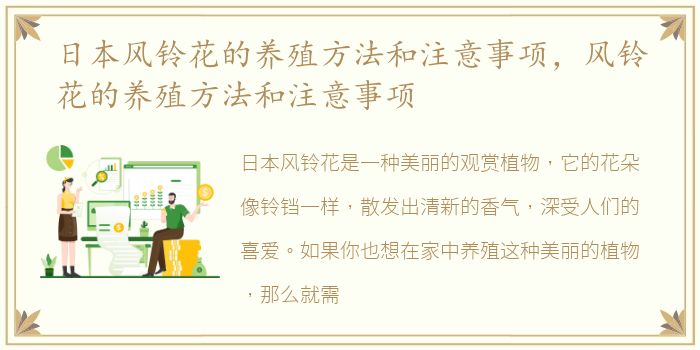 日本风铃花的养殖方法和注意事项，风铃花的养殖方法和注意事项