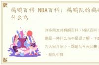 鹈鹕百科 NBA百科：鹈鹕队的鹈鹕是一种什么鸟