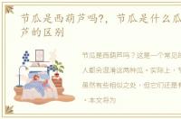 节瓜是西葫芦吗?，节瓜是什么瓜,和西葫芦的区别