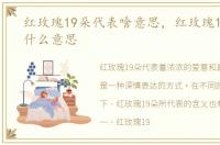 红玫瑰19朵代表啥意思，红玫瑰19朵代表什么意思