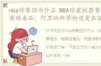 nba停赛因为什么 NBA球星被禁赛理由：梅奥碰毒品，阿里纳斯带枪进更衣室