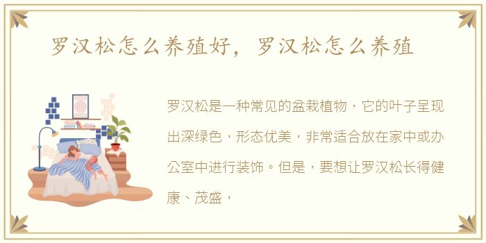 罗汉松怎么养殖好，罗汉松怎么养殖